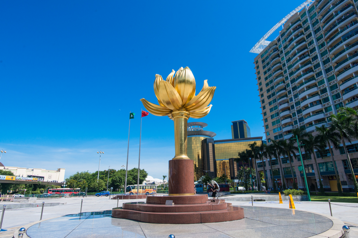 澳門一碼一肖一待一中四不像——揭開神秘面紗下的真相，澳門神秘事件揭秘，一碼一肖一待一中四不像真相探索