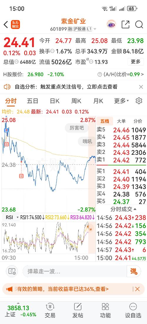 紫金礦業(yè)股票股價(jià)分析與展望，紫金礦業(yè)股票股價(jià)分析與未來(lái)展望