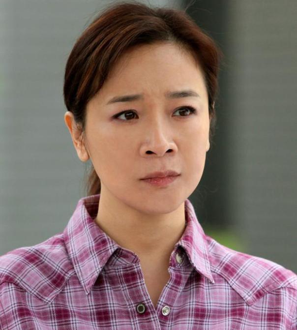 陳小藝主演的電視劇全部，回顧與解析，陳小藝主演電視劇回顧與深度解析