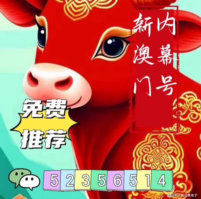 新澳2025今晚開獎(jiǎng)資料詳解，新澳2025今晚開獎(jiǎng)資料全面解析