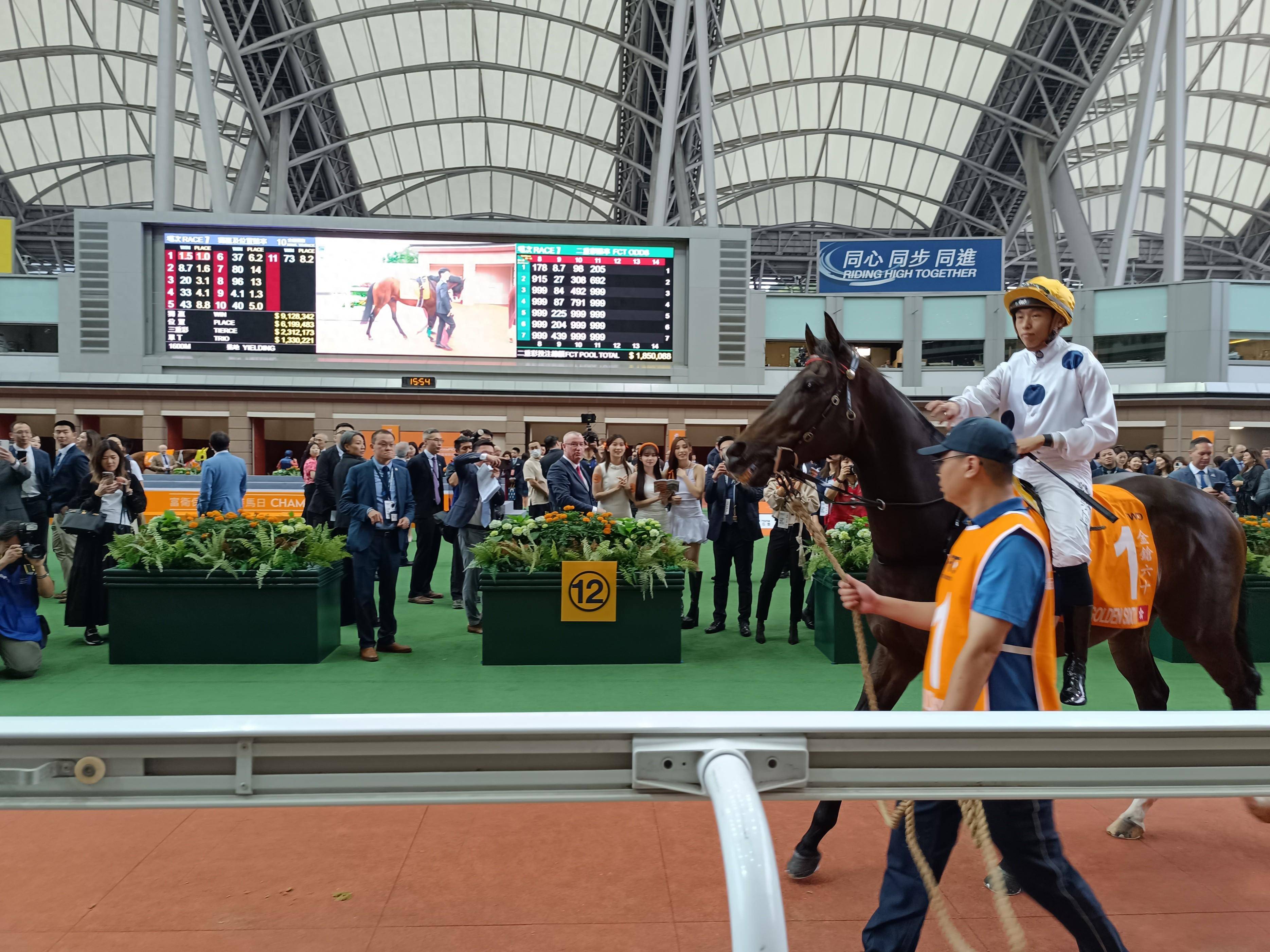 香港王中王一肖中特馬的奧秘與探索，香港王中王一肖中特馬的奧秘探索之旅